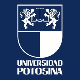 Vista del proyecto en proceso 1